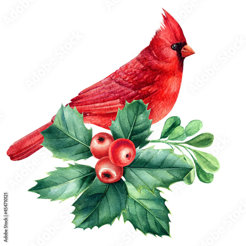 Obraz na płótnie Red cardinal