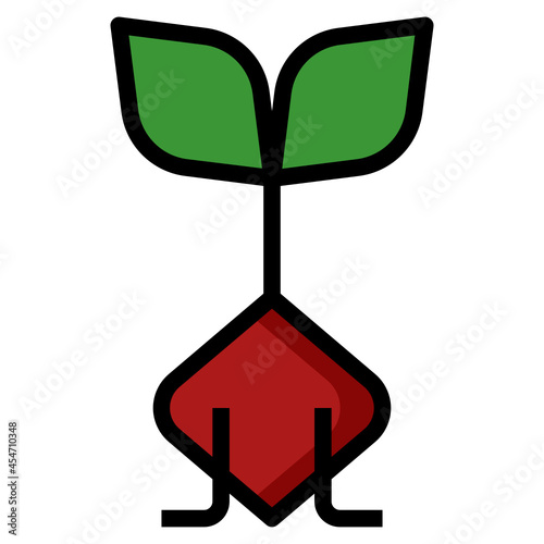 beetroot