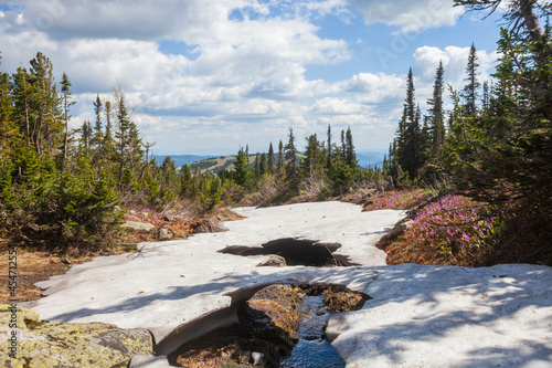 Melting snow in the Shoria. Russia photo