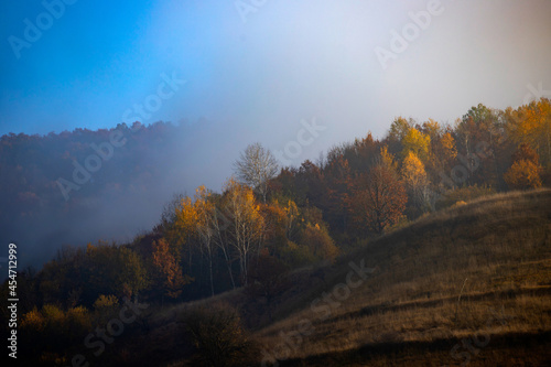 Beautiful autumn nature landscape in Carpathian mountains.