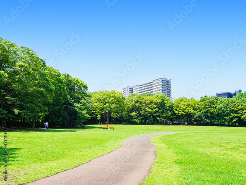 Fototapeta Naklejka Na Ścianę i Meble -  青空と緑の公園