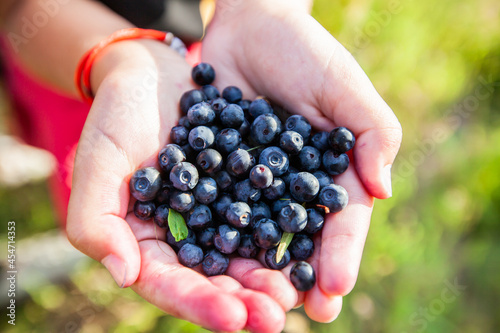 Fresh organic ripe wild blueberries in human hands. Healthy antioxidant food.