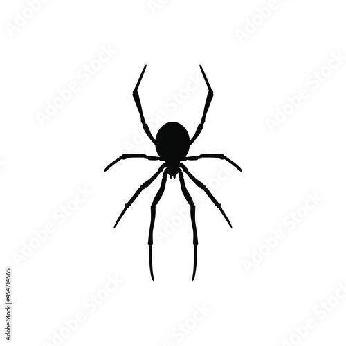 Spider vector icon. halloween illustration sign. insect symbol. spiderweb logo.  © Denys