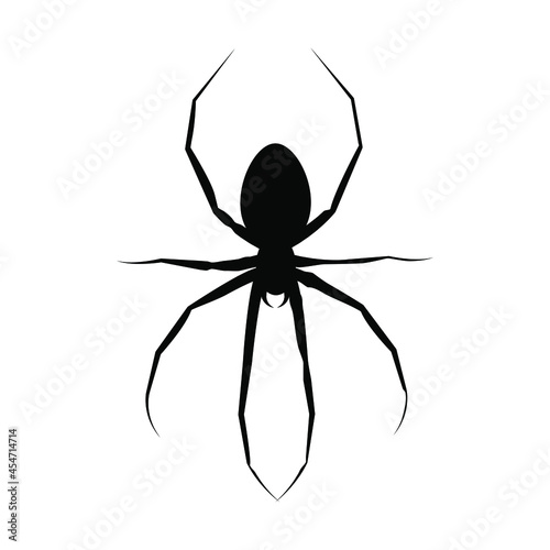 Spider vector icon. halloween illustration sign. insect symbol. spiderweb logo.
