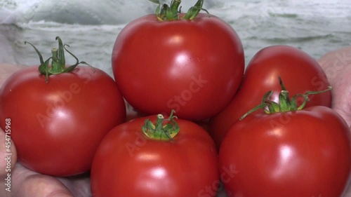 Red ripe tomatoes in hands, closeup.