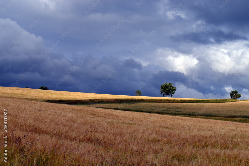 Fototapeta premium Storm over a cereal field