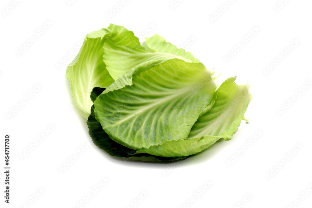 Fototapeta premium Cabbage Leaf Isolated on White Background