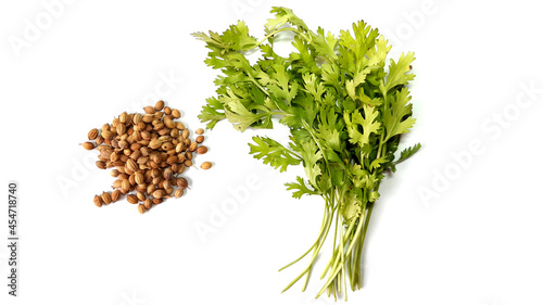 Dry Coriander Seeds & Green Coriander Parsley Leaves Isolated on White