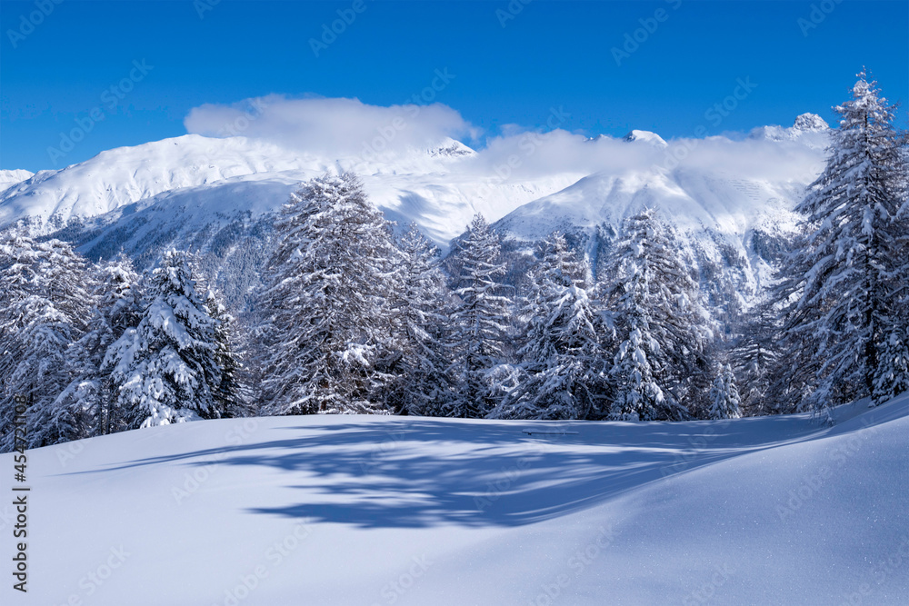Fototapeta premium Snowy Landscape near Celerina (Switzerland)