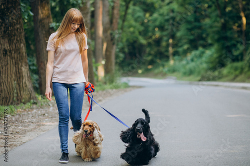 Pet walker having a stroll with cocker spaniel photo