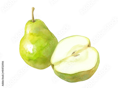 秋のフルーツ：2種の西洋梨の水彩イラスト。葉無し。