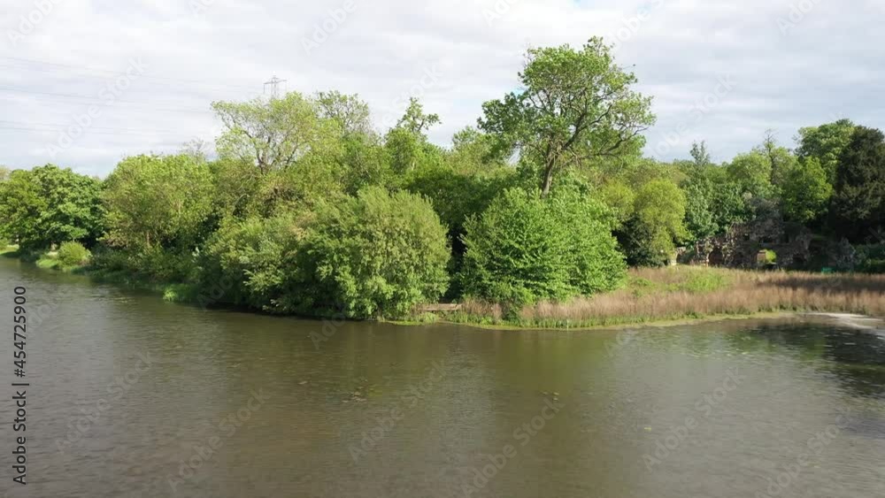 Wild lush green vegetation, trees and shrubs around water surface Wild lush green vegetation, trees and shrubs around water surface
