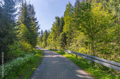 Carna Wiselka road journey in green forest sunlight landscape. Forest road way with sunlight. Path in sunlight. photo