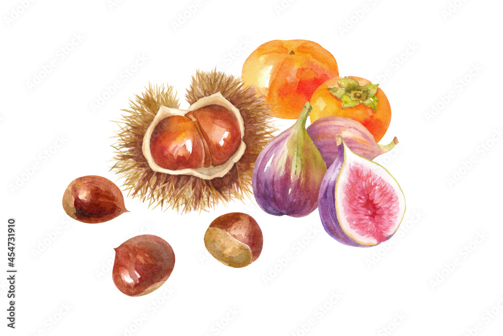 秋のフルーツの集合 栗 柿 イチジクの水彩イラスト レイアウト変更可能 ベクターデータ Stock Vector Adobe Stock