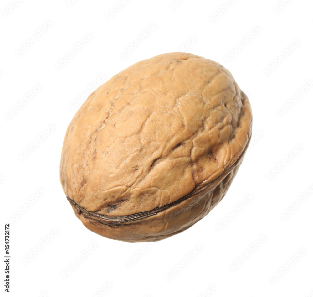 Whole walnut in shell isolated on white Whole walnut in shell isolated on white