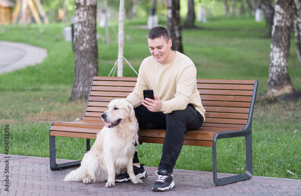 A man sits in a park with a dog and looks at the phone. Golden Retriever walks with its owner A man sits in a park with a dog and looks at the phone. Golden Retriever walks with its owner