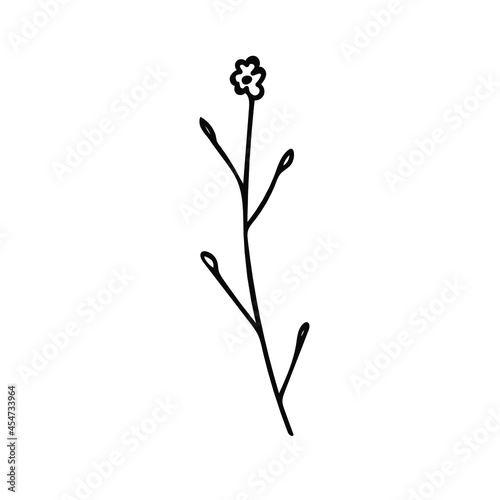One Vector Botanical Illustration Branch Plant with black line on white background.Floral Summer hand drawn doodle style picture.Designs for packaging social media web cards  posters invitations.