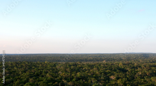 View across the Peten jungle from the top of the La Danta pyramid in El Mirador
