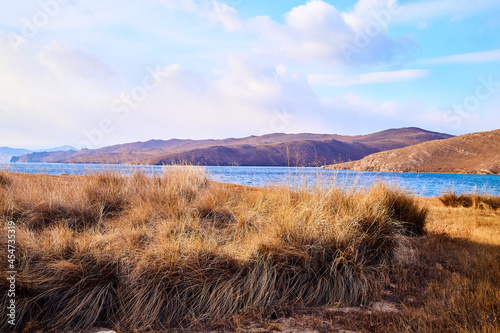 Nature landscape with golden field, wather, hills and blue sky with white clouds in a day or a evening photo