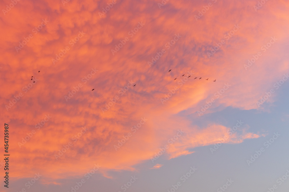 Colorful cloudy sky at sunset. Gradient color. Sky texture, abstract nature background