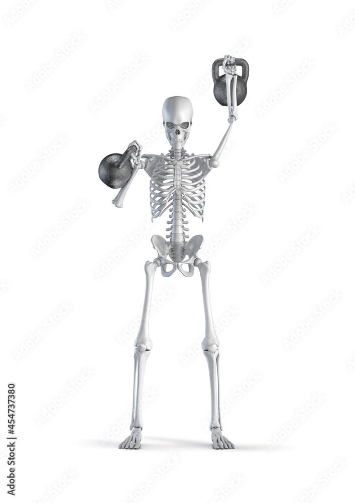 Fitness skeleton kettlebell - 3D illustration of male human skeleton figure lifting heavy pair of kettlebells isolated on white studio background