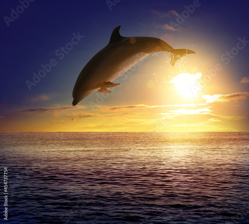 Beautiful bottlenose dolphin jumping out of sea at sunset © New Africa