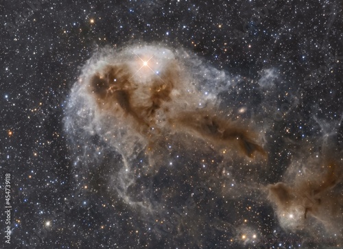 The dust nebulae of LDN 1250 or the Sea Monster in the constellation Cepheus