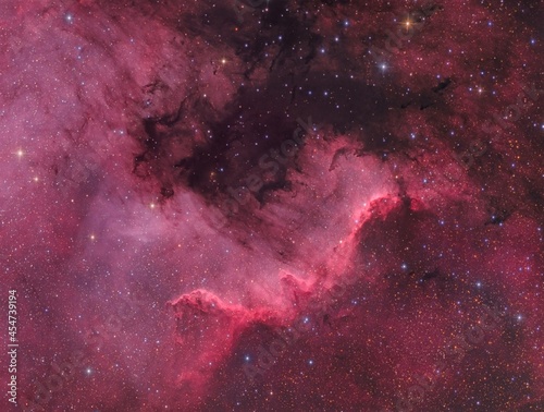 The North America nebula or NGC 7000 in the constellation Cygnus