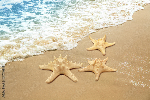 Beautiful waves and sea stars on sandy beach