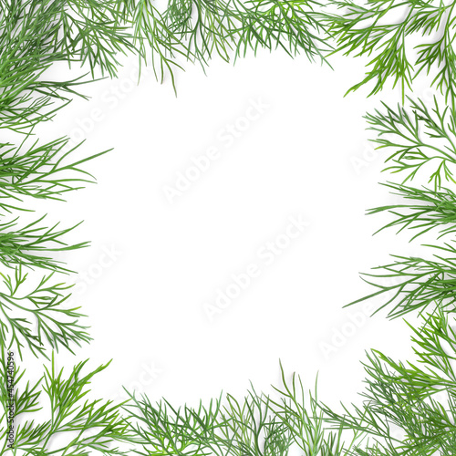 Frame made of fresh dill on white background  top view