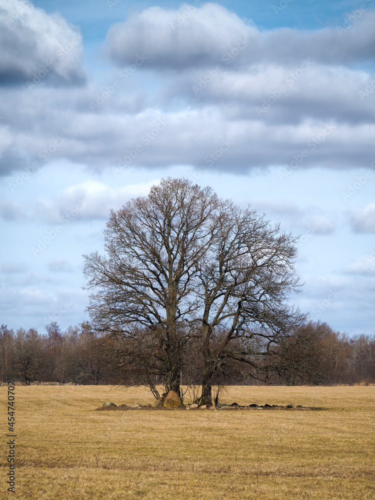 Fototapeta premium OLYMPUS DIGITAL CAMERA