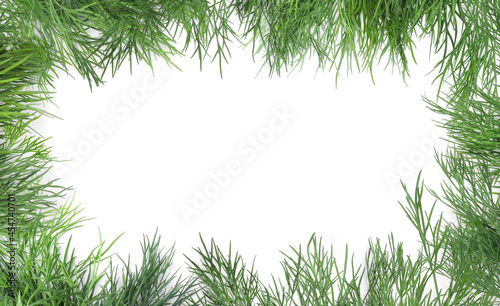 Frame made of fresh dill on white background, top view