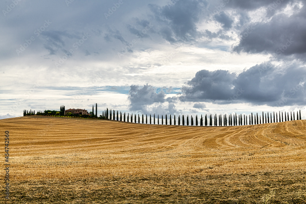 Typically Tuscany Landscape with acres and hayballs in summertime, Val d'Orcia, Siena Region, rolling landscape