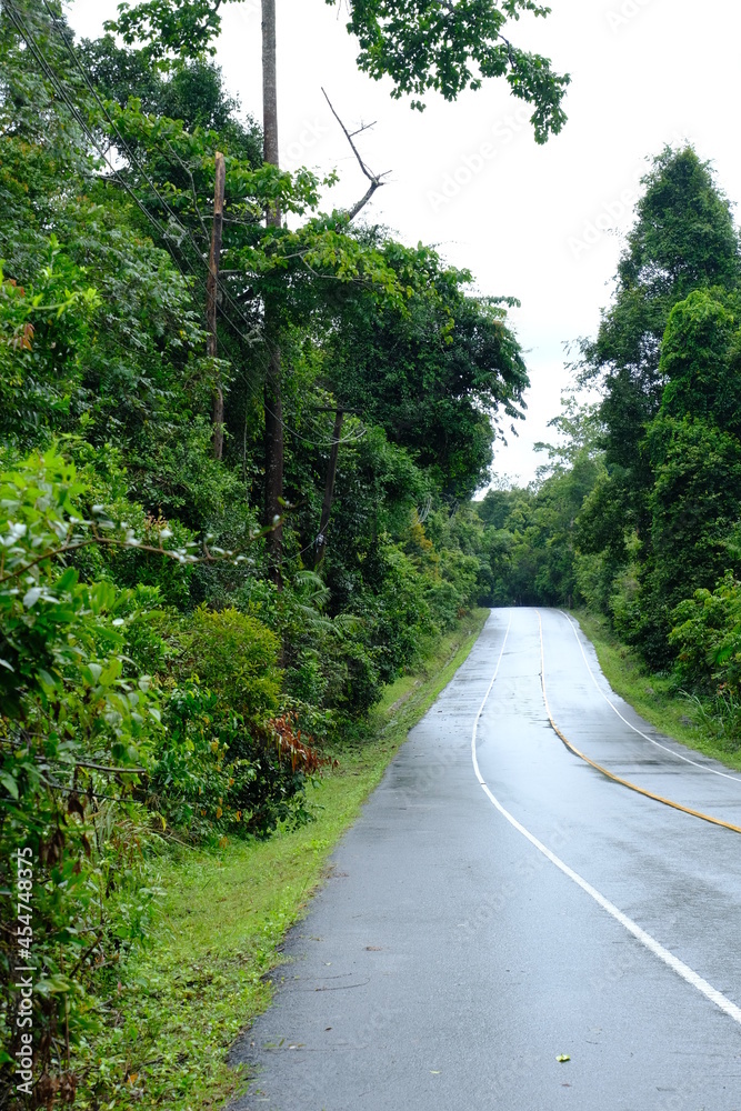 Beautiful and fertile nature and forests Beautiful and fertile nature and forests