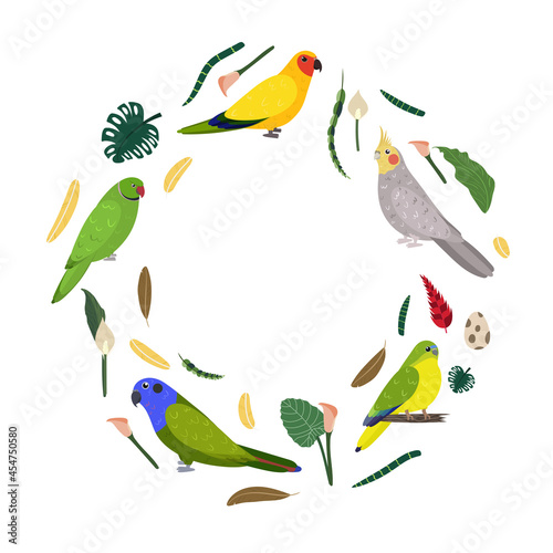 Design template with parrots in circle for kid print. Round composition of tropical birds rose ringed, pionus, neophema and sun aratinga. Vector set of jungle life in cartoon style.