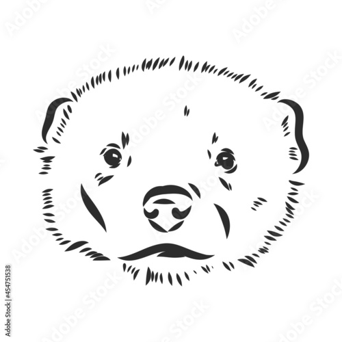 vector hand sketch drawing illustration of a wolverine done in black and white