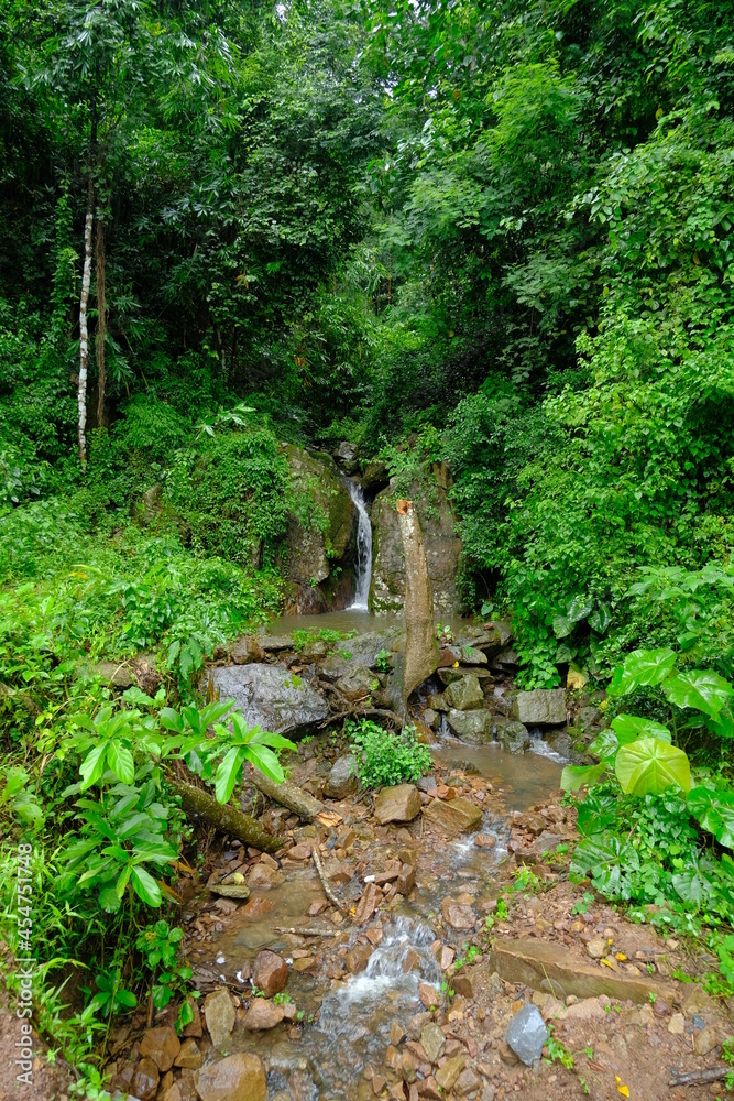Beautiful and fertile nature and forests Beautiful and fertile nature and forests