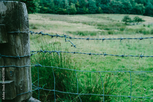 Obraz na plátně Barbed wire fence at a nature reserve.