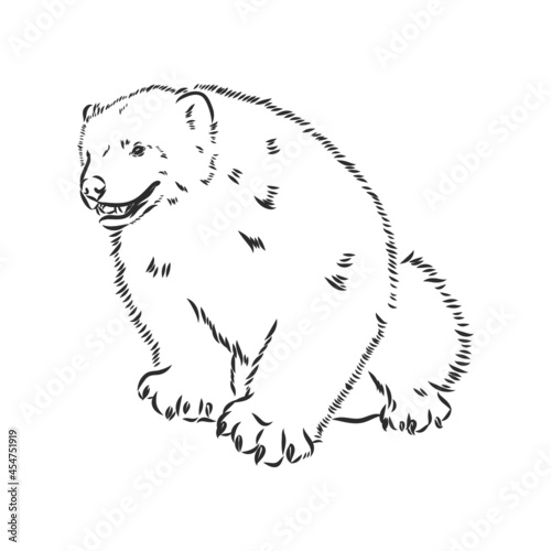 vector hand sketch drawing illustration of a wolverine done in black and white