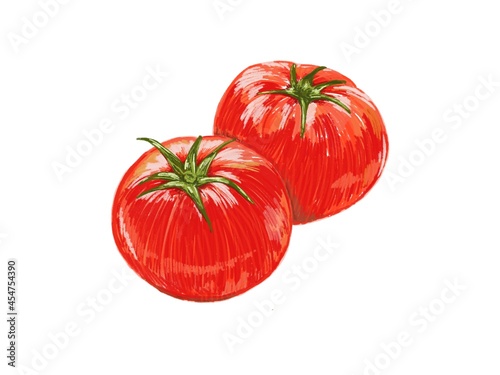 トマトの手描きイラスト素材