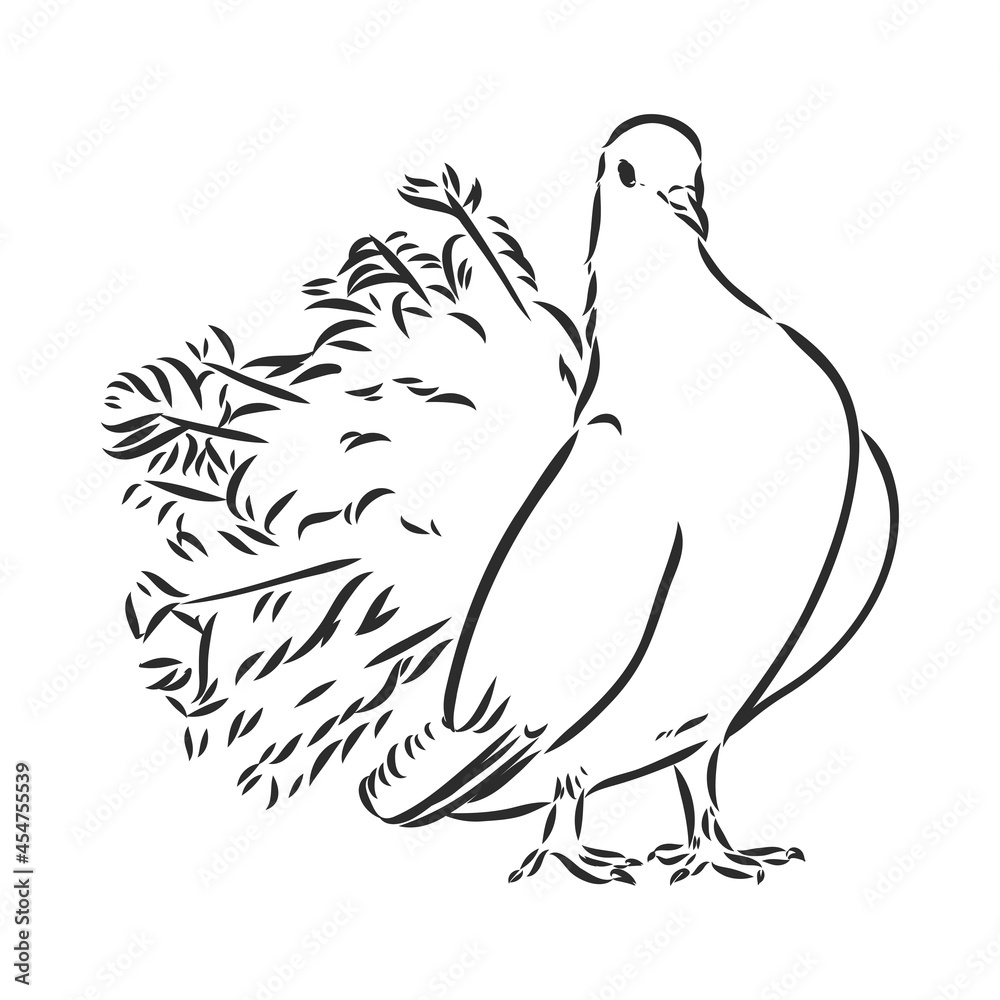 Obraz premium Realistic hand drawn dove. Vector illustration or element for your design.