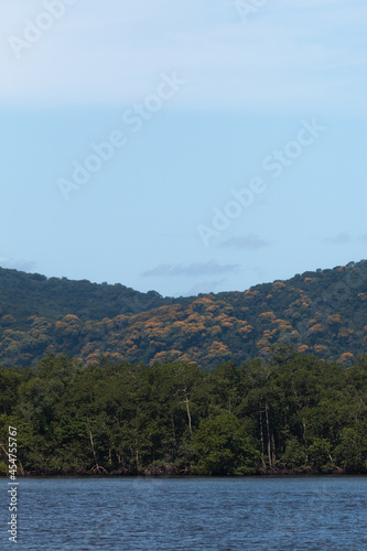 landscape with trees and mountains © rcphotofilms