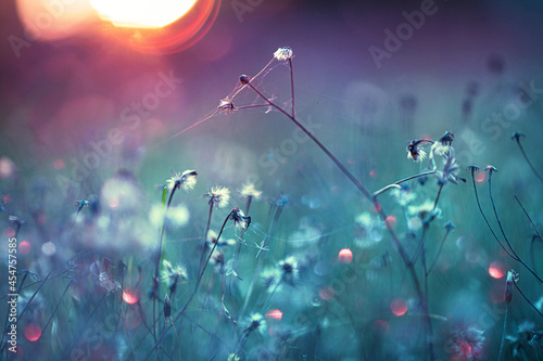 Natural Autumn Background. Colorful Bokeh