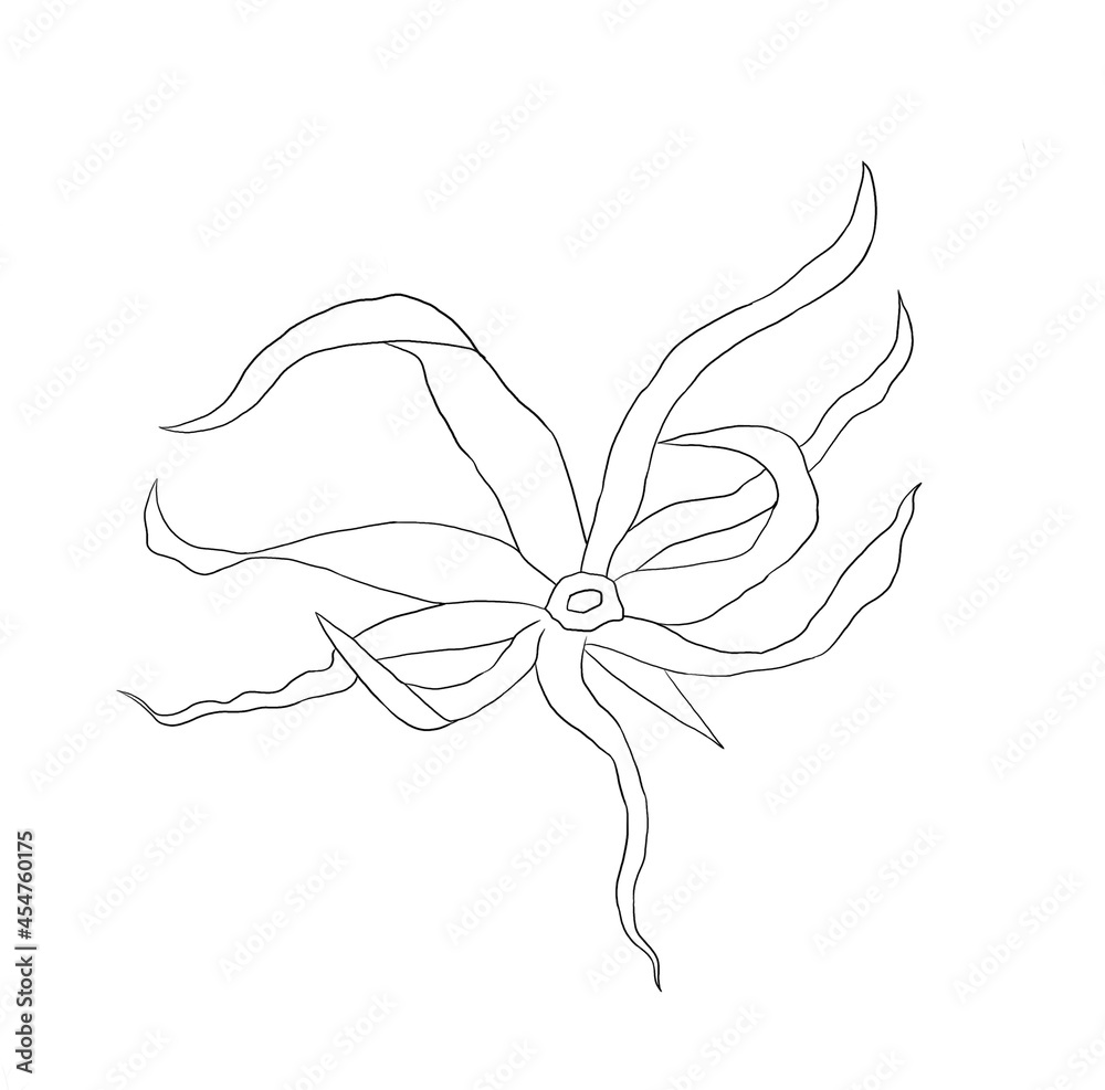 Fototapeta premium Ylang-Ylang Beautiful tropical flowers poster flyer packaging Nature Exotic Plants