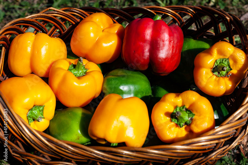 wicker basket with colorful fresh peppers close-up