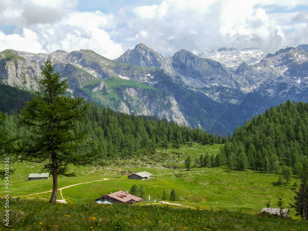 Beautiful nature scenery at Gotzenalm, Berchtesgaden national park, Germany