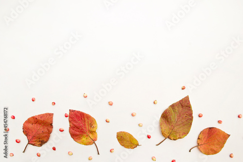 Collection of multicolored fallen autumn leaves isolated on white background