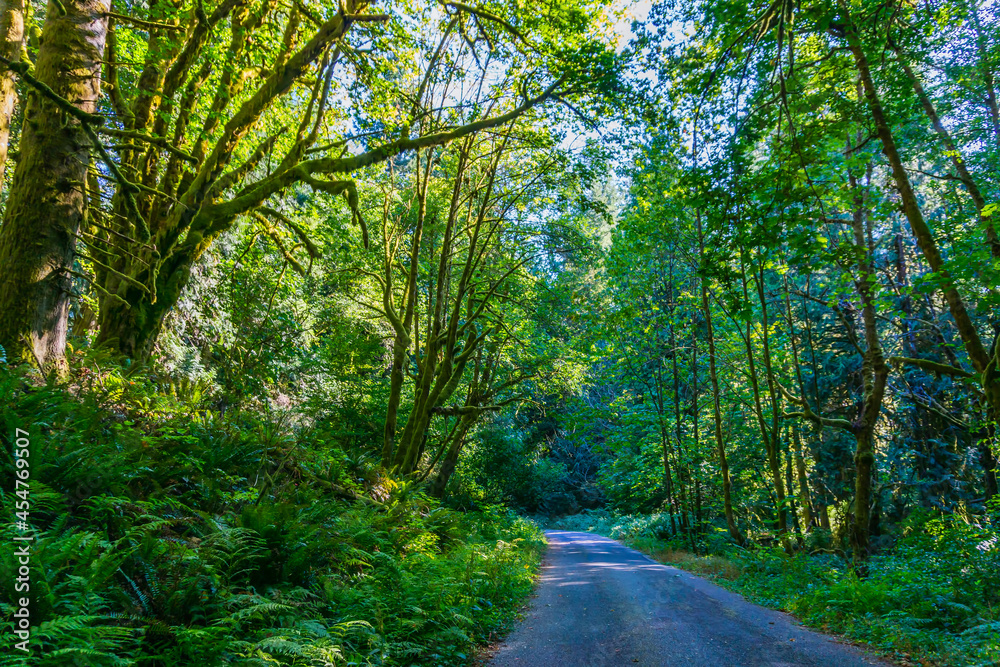 Obraz premium Woodard Bay Trail 2