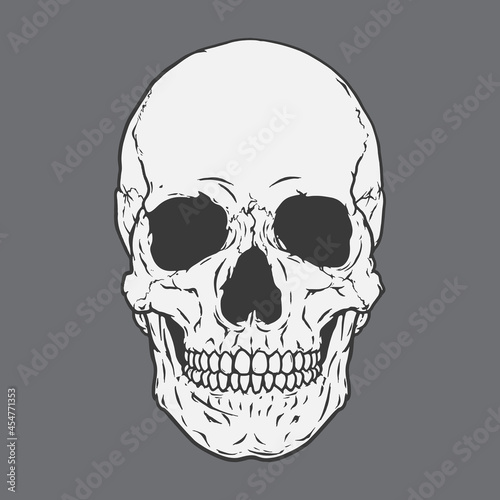 Wallpaper Mural Human Skull, Skeleton Head, Hand Drawn Line Art, Vector Illustration Torontodigital.ca
