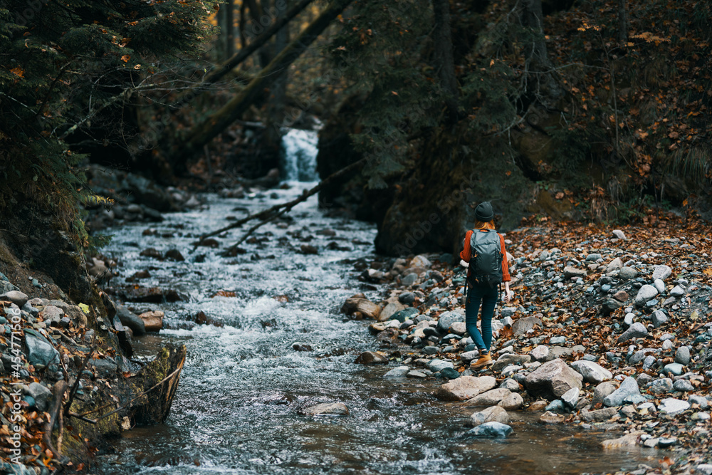 Mountain river nature forest travel lifestyle